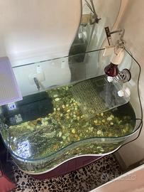Acquario