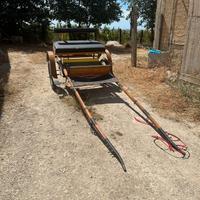 carrozzino per cavallo