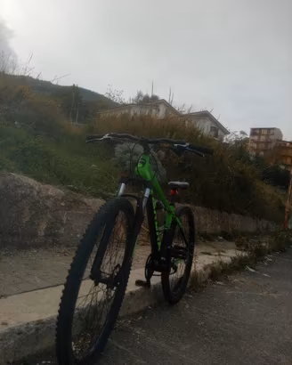 bicicletta 