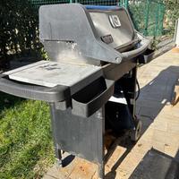 Weber Spirit barbecue