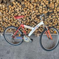 bici mountantbike ammortizzata