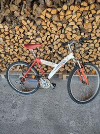 bici mountantbike ammortizzata