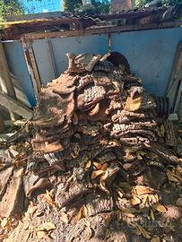 Corteccia quercia