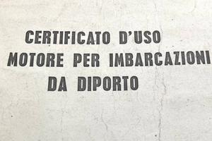 Evinrude 6cv piede corto