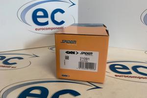 21091 KIT GIUNTO OMOCINETICO VOLKSWAGEN/AUDI