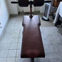 Tecnogym anatomic crunch