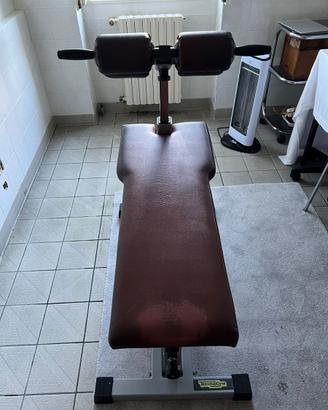 Tecnogym anatomic crunch