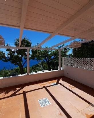 Piastrella 60x60 Brach Cotto Sant'Agostino
