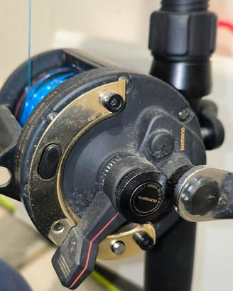 Coppia Traina Italcanna e Shimano