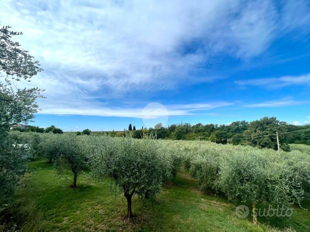 TER. AGRICOLO A BARDOLINO