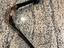 Immagine 5