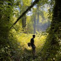 Manutenzione Giardini
