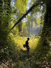 Manutenzione Giardini