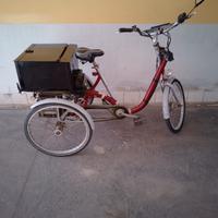 bicicletta tre ruote 