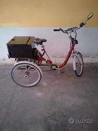 bicicletta tre ruote 