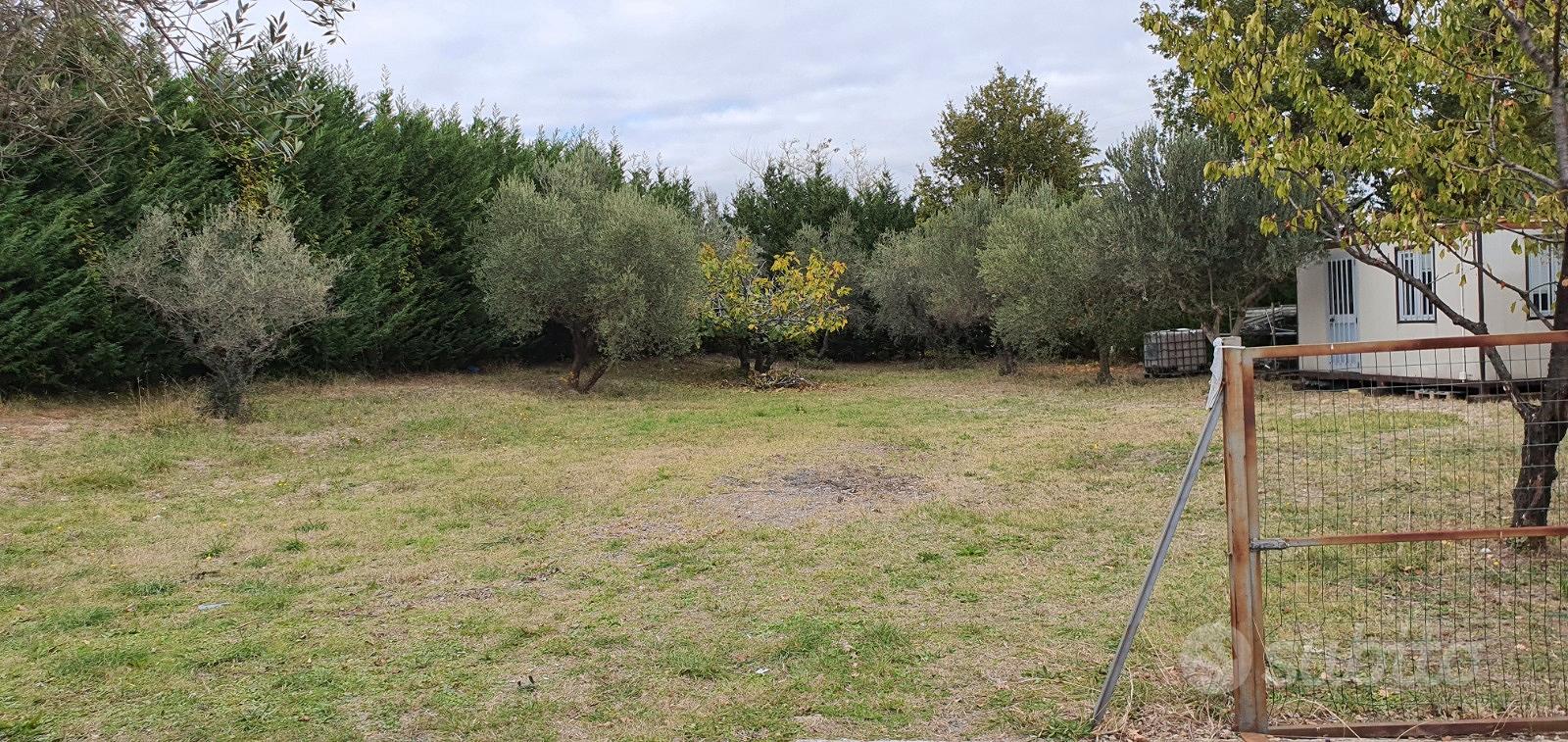 Terreno edificabile 1000 mq pianeggiante - Vista 3