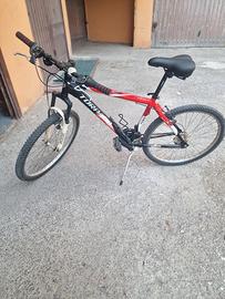 Bicicletta Mountain Bike