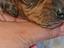 Immagine 5