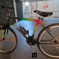 mountain bike unisex 