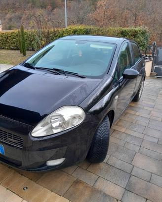 fiat punto abruzzo 