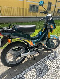 Fifty top 1990