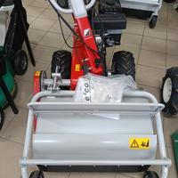 Trincia sarmenti DR 65 