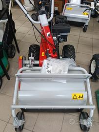 Trincia sarmenti DR 65 