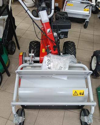 Trincia sarmenti DR 65 