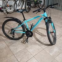 bicicletta ragazzo