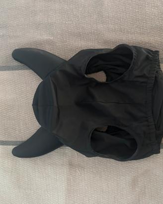 maschera inosorizzata giorgio ferro
