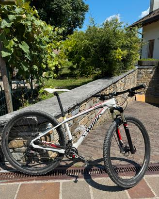 specialized s-works stumpjumper carbon