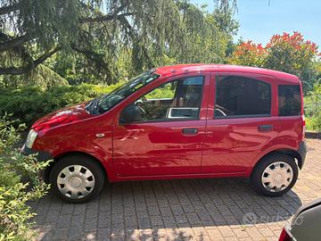 Panda Van Rossa