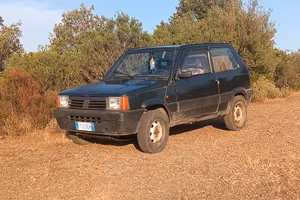 Fiat panda 4x4 
