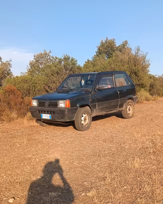 Fiat panda 4x4 