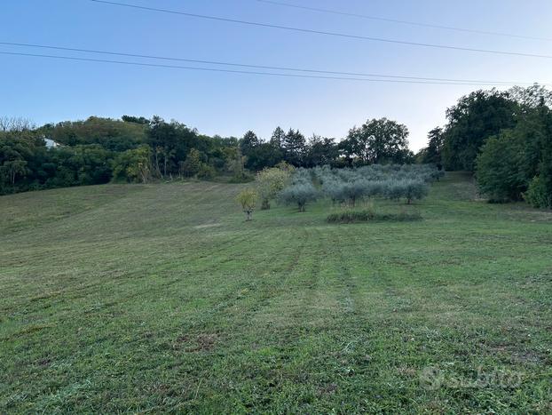 Terreno agricolo 6,5 h