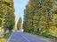 Immagine 21