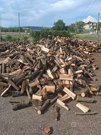legna di quercia secca disponibile su benevento 