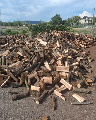 legna di quercia secca disponibile su benevento 