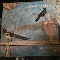 Musica vinile raro; poesia latina