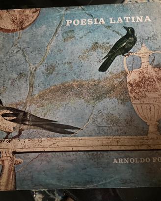 Musica vinile raro; poesia latina