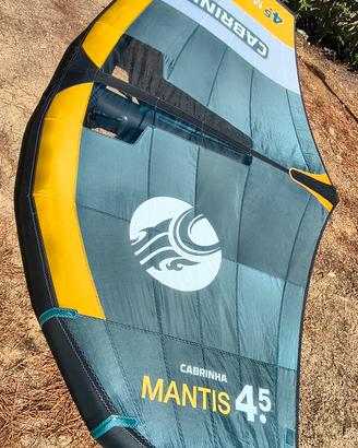Wing Mantis 4.5