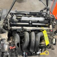 Motore Ford Focus 1.6 Benz. (FYDB)