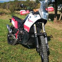 Yamaha Ténéré 700 Andreani e Ohlins