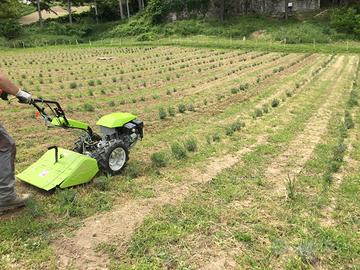 Motocoltivatore Grillo G 85d con Motore Honda 270c