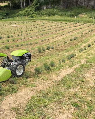 Motocoltivatore Grillo G 85d con Motore Honda 270c