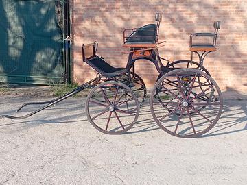 carrozza per cavallo 