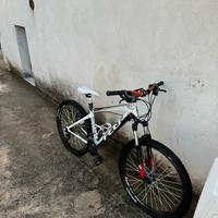 Mountain bike felt 920q