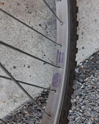 Bicicletta 24' con 18 rapporti