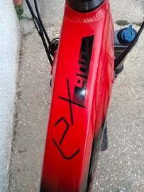 e bike Olimpia EX900