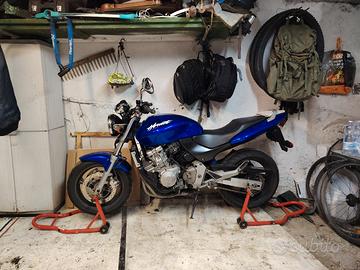 hornet asi restaurata